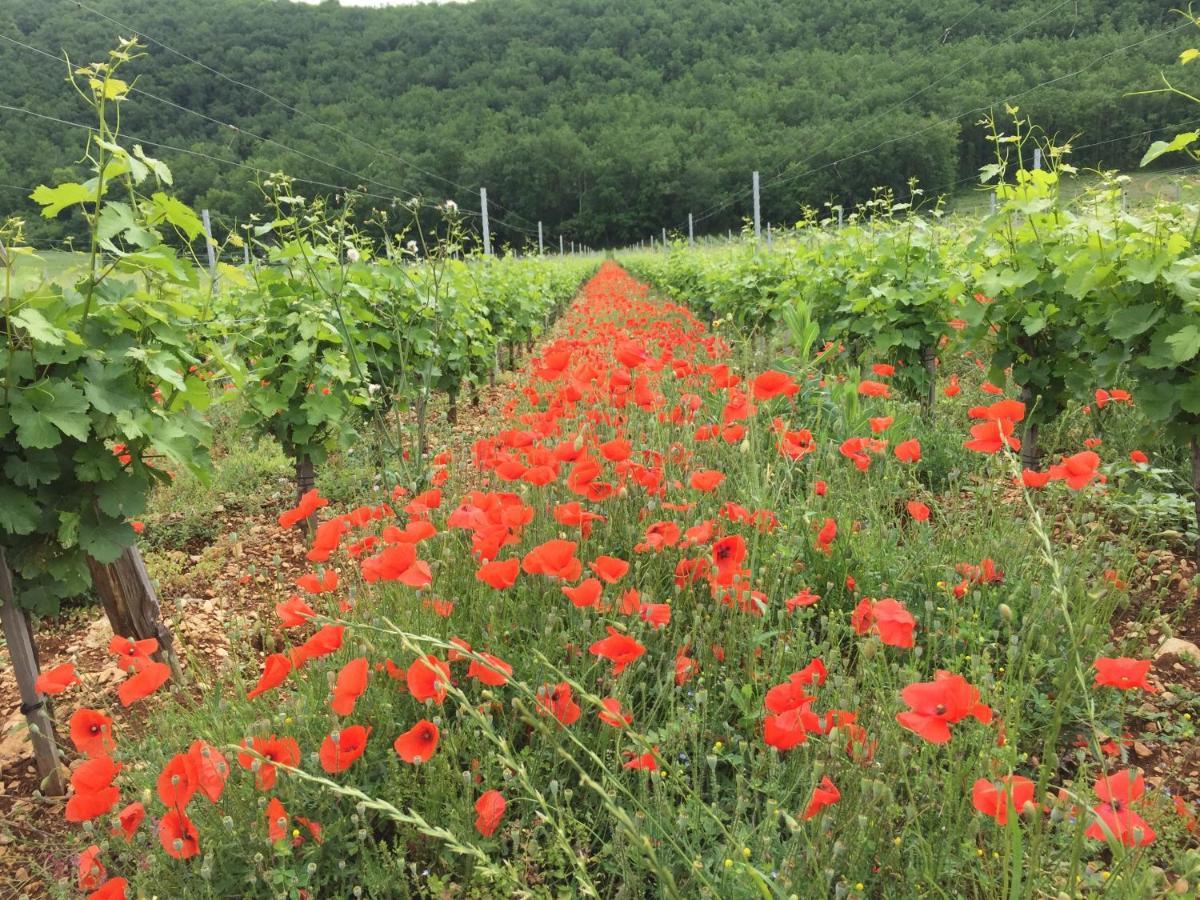 Duravel La Provencale B&B المظهر الخارجي الصورة